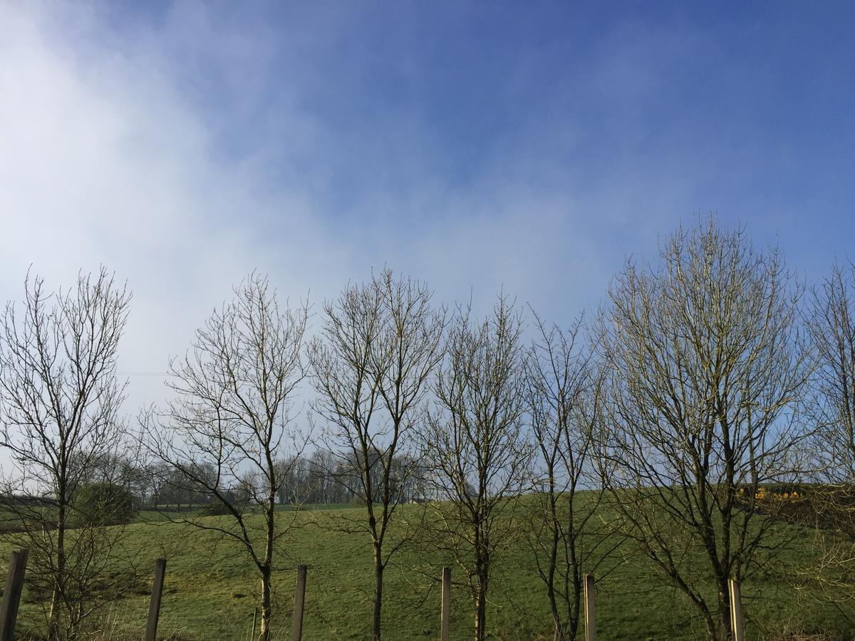 Marnic House Bed & Breakfast Ballyhaunis Bagian luar foto